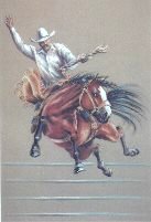 Saddle Bronc